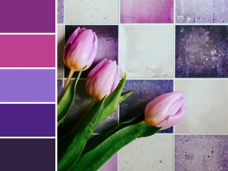 El color lila y sus diferentes tonalidades
